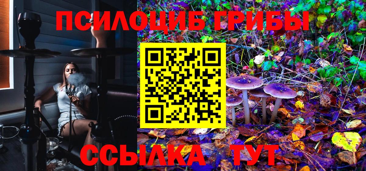 Псилоцибиновые грибы мухоморы Энгельс