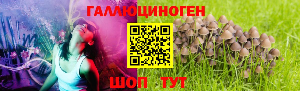 Галлюциногенные грибы мицелий  Вход с VPN  даркнет сайт  Псилоцибиновые грибы мицелий  Энгельс 